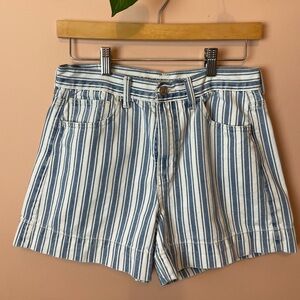 American Eagle Striped Shorts